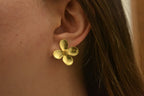 ARETES FLORENCIA